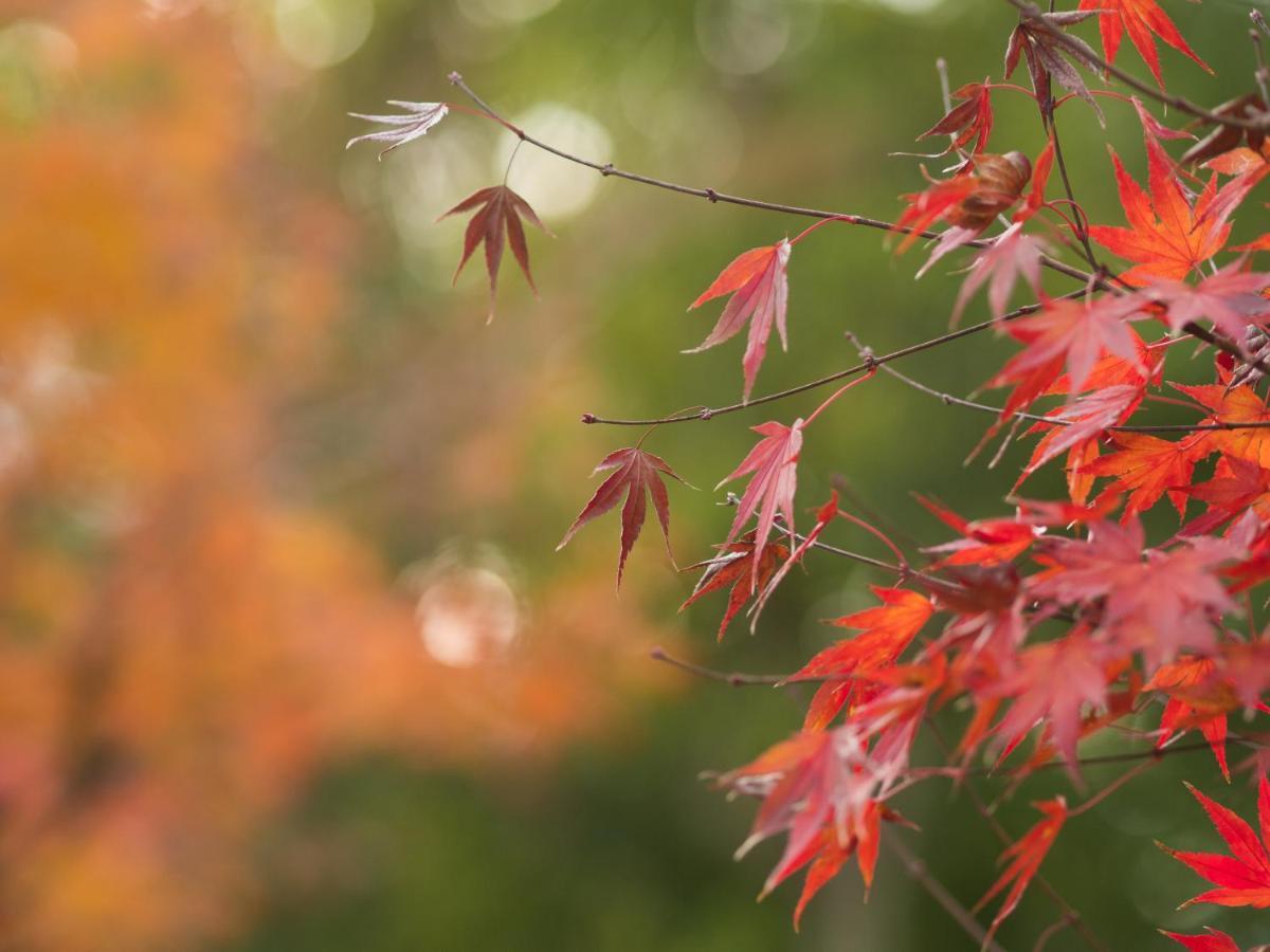 Ryokan Genhouin Kyoto Bagian luar foto
