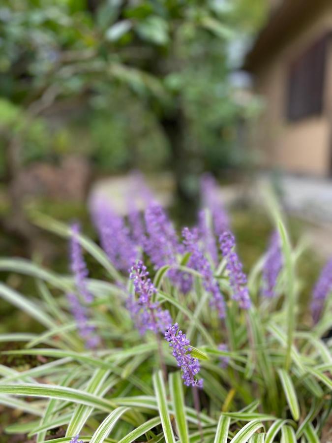 Ryokan Genhouin Kyoto Bagian luar foto